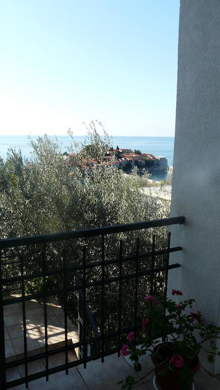 Guest House Zivkovic スヴェティ・ステファン エクステリア 写真