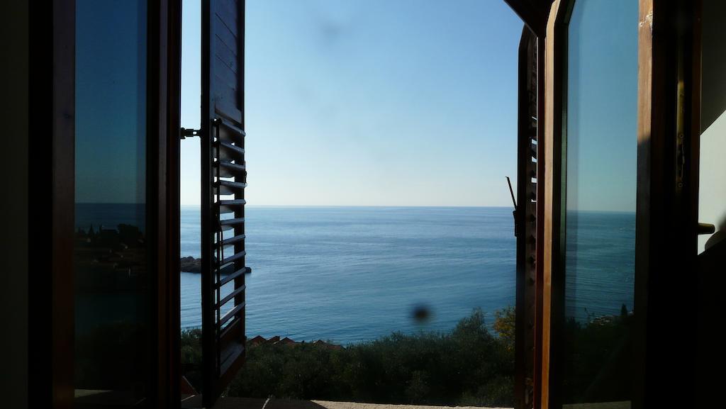 Guest House Zivkovic スヴェティ・ステファン 部屋 写真