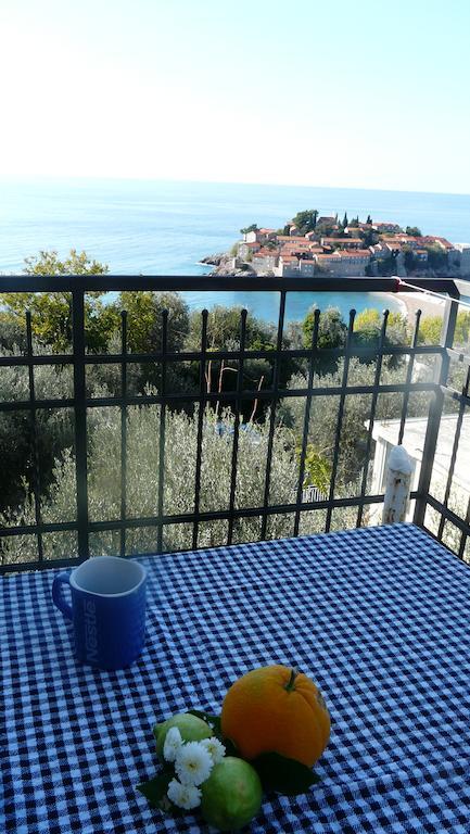 Guest House Zivkovic スヴェティ・ステファン エクステリア 写真
