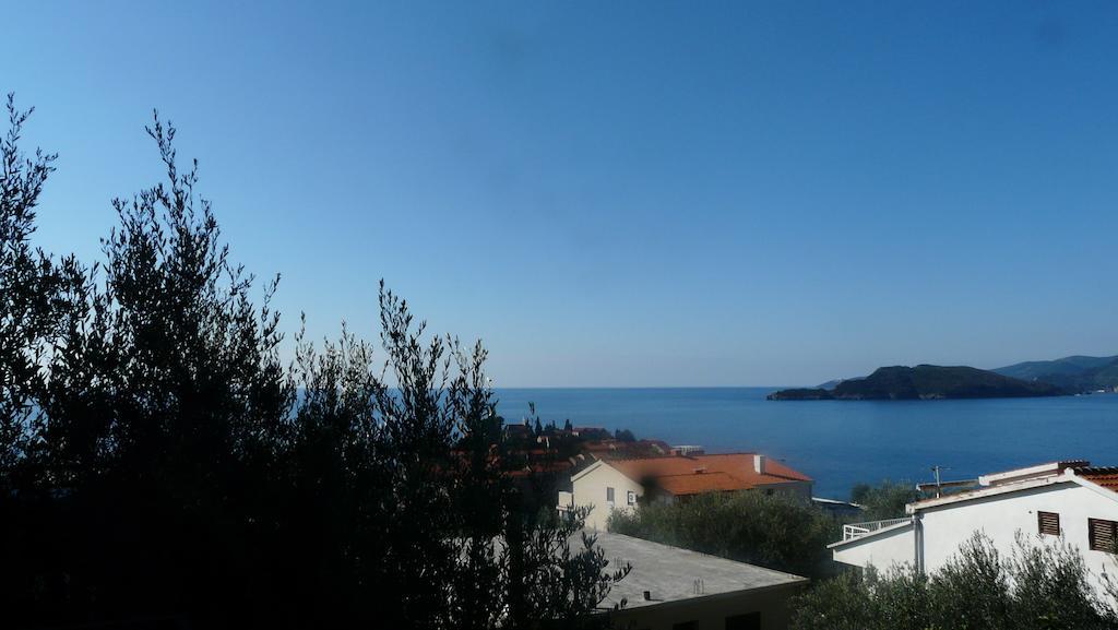 Guest House Zivkovic スヴェティ・ステファン エクステリア 写真