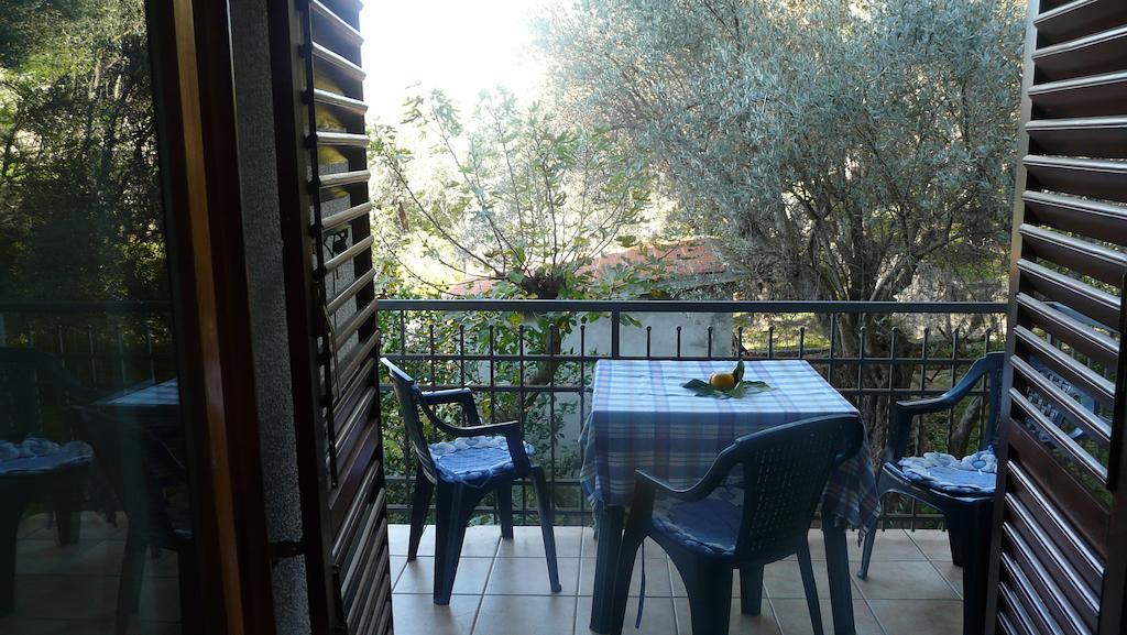 Guest House Zivkovic スヴェティ・ステファン 部屋 写真