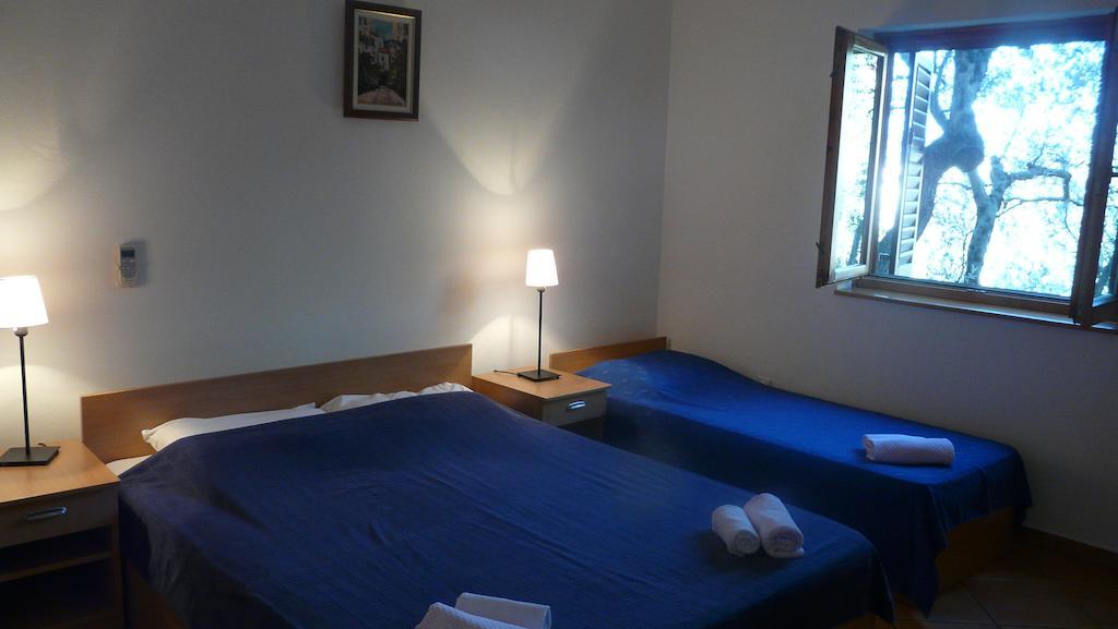 Guest House Zivkovic スヴェティ・ステファン 部屋 写真