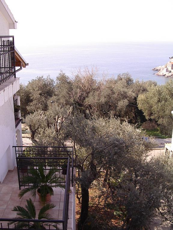 Guest House Zivkovic スヴェティ・ステファン エクステリア 写真